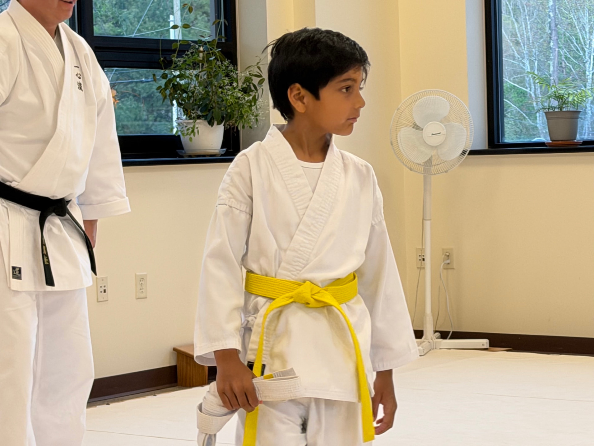 Dojo, belt test night